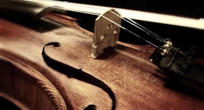 Violin